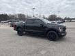 2023 Ford F-150 XLT Truck