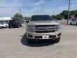 2018 Ford F-150 Platinum Truck