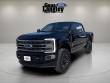 2024 Ford F-250SD Platinum Truck