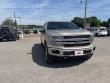 2018 Ford F-150 Platinum Truck