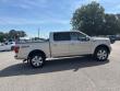 2018 Ford F-150 Platinum Truck