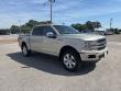 2018 Ford F-150 Platinum Truck
