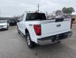 2024 Ford F-150 XLT Truck