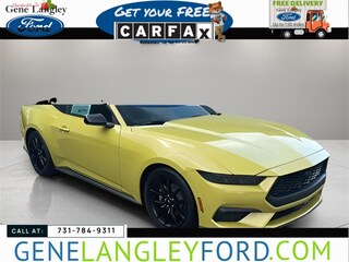 2025 Ford Mustang Ecoboost Fastback CAR