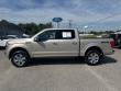 2018 Ford F-150 Platinum Truck