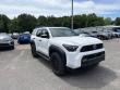 2025 Toyota 4Runner TRD Off-Road Premium SUV