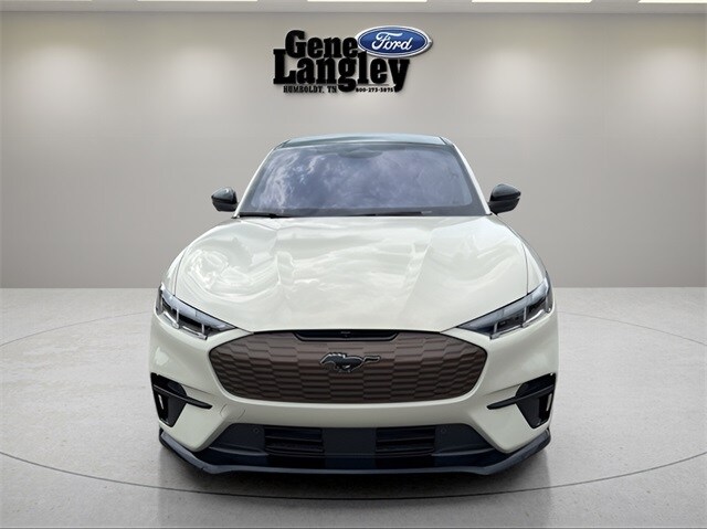 2025 Ford Mustang Mach-E GT photo 4