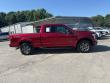 2015 Ford F-150 XLT Truck