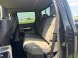 2025 Ford F-450SD Platinum Truck
