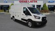  Ford Transit-350