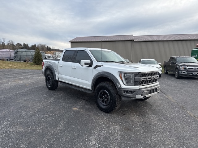 2022 Ford F-150 Raptor's photo