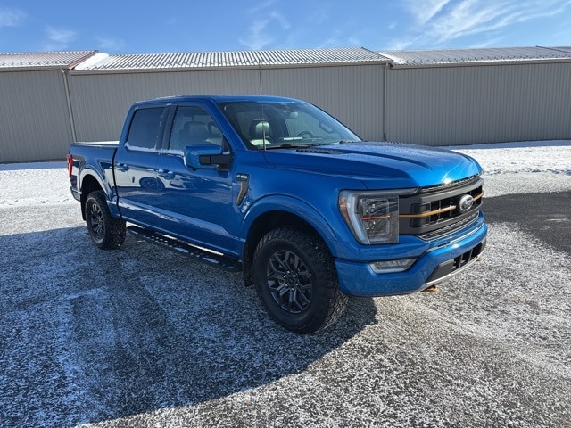 2021 Ford F-150 Tremor's photo