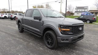 2025 Ford F-150 STX Truck