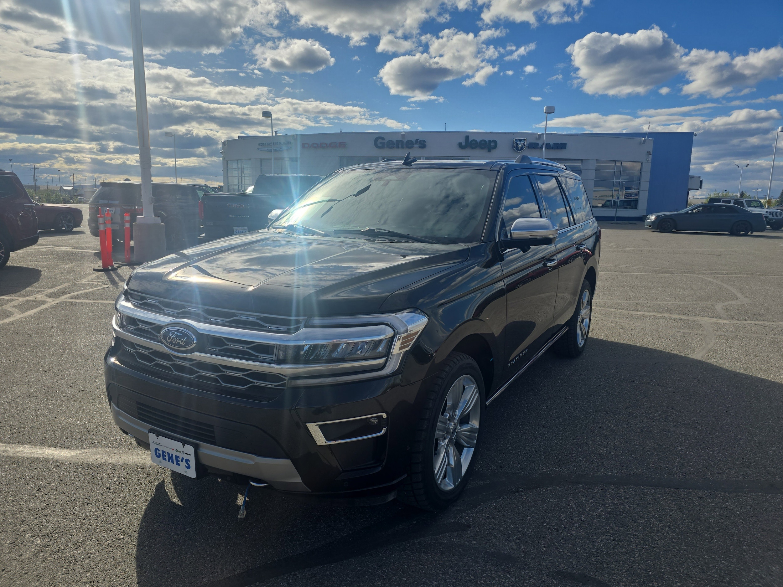 2024 Ford Expedition Platinum 4x4's photo