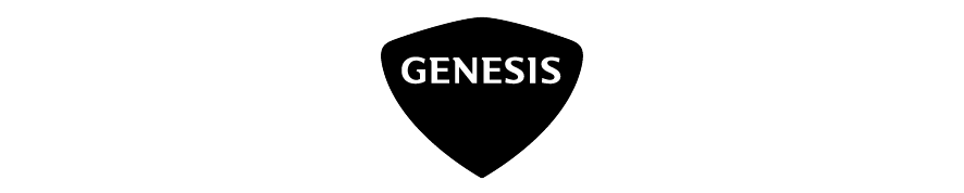 LLKLKL Auto-Schonbezüge Kompatibel mit Genesis G70 2019-2021