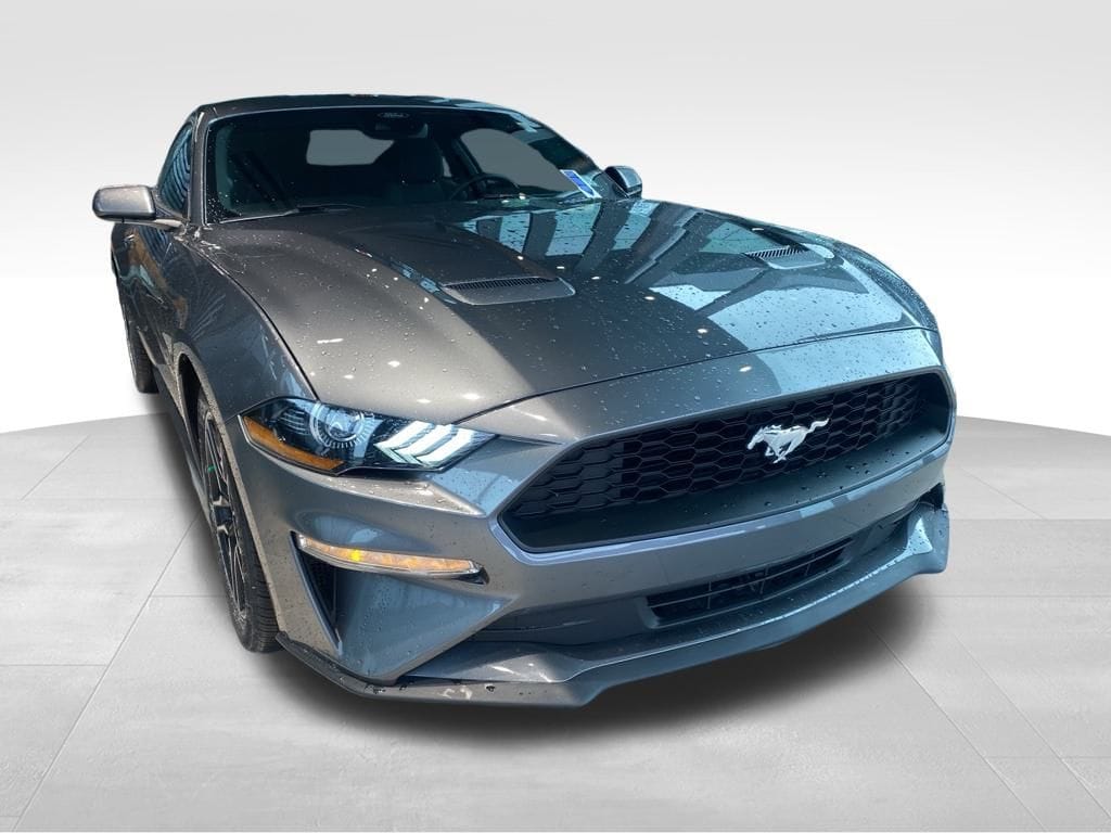 2022 Ford Mustang EcoBoost's photo