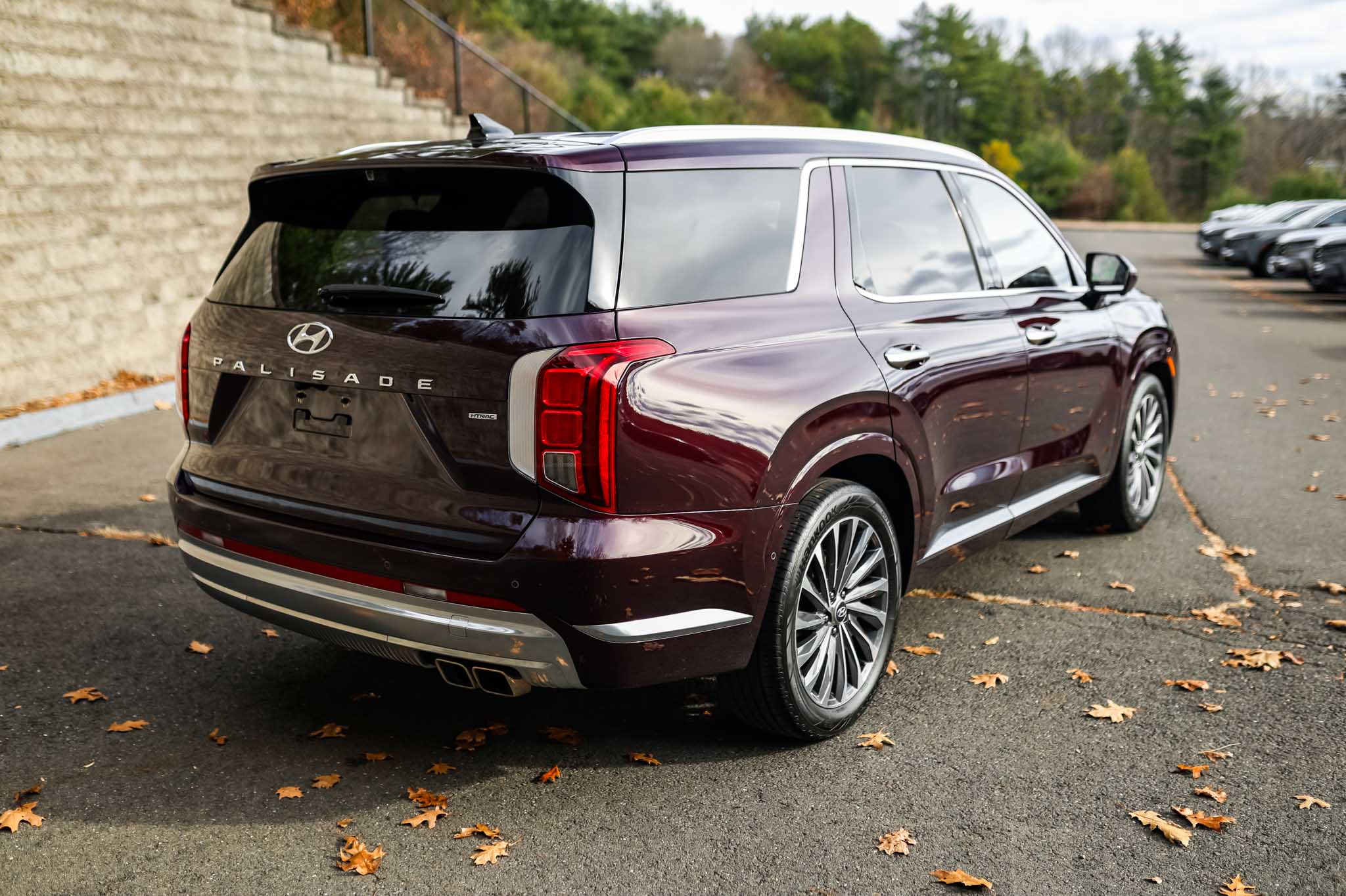 2023 Hyundai Palisade Calligraphy photo 2