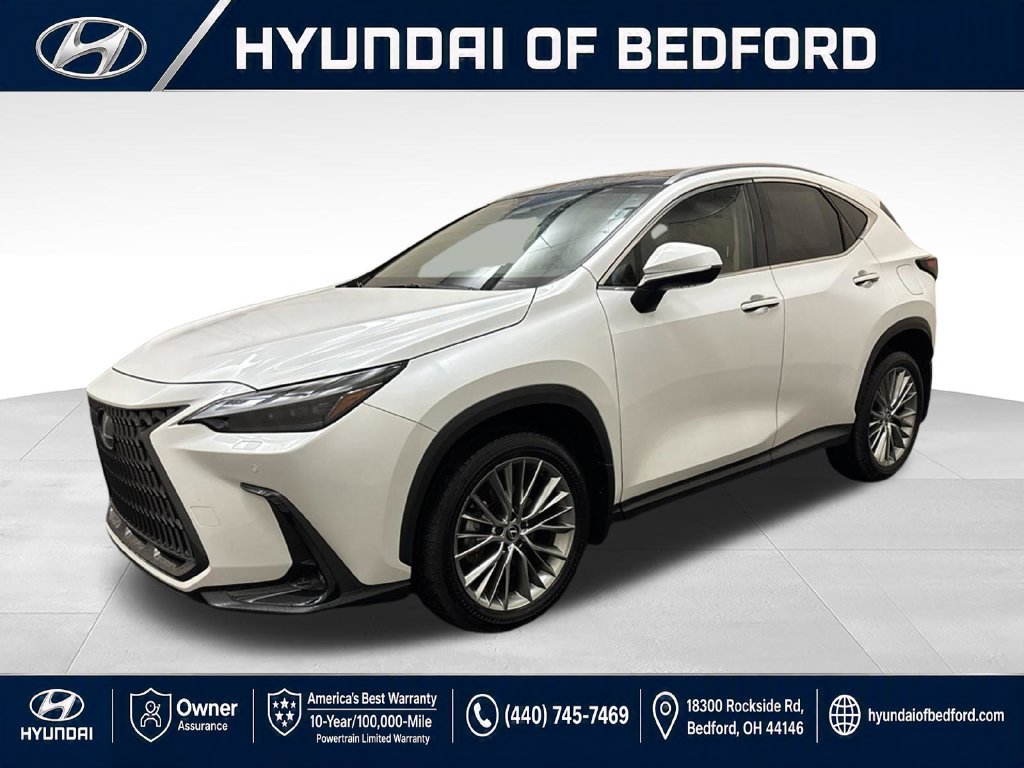2024 Lexus NX