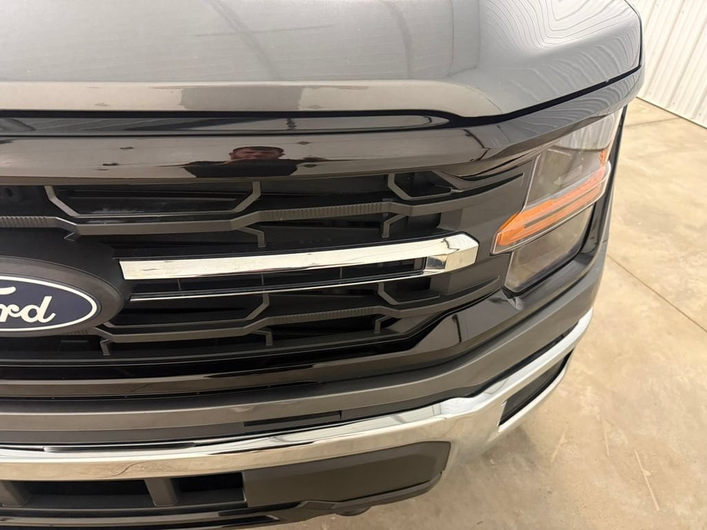 2025 Ford F-150 XLT - Photo 6