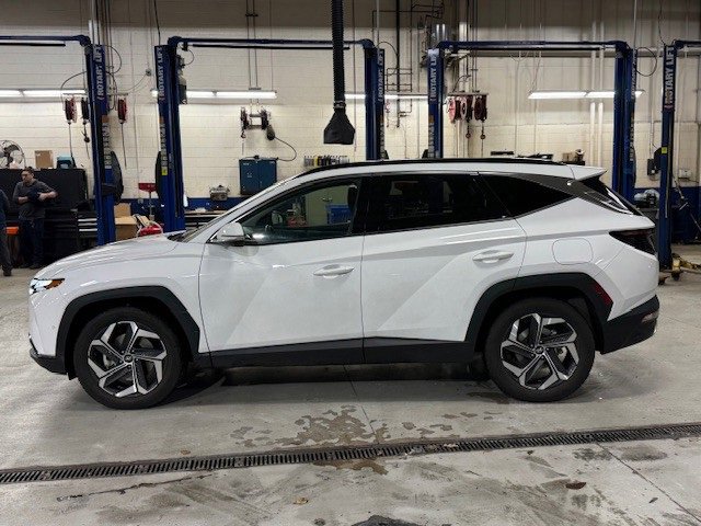 2024 Hyundai Tucson Limited photo 3