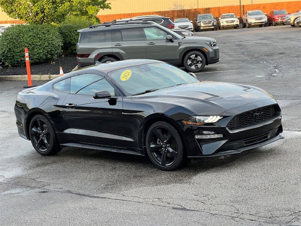 Used 2021 Ford Mustang EcoBoost with VIN 1FA6P8TH9M5119962 for sale in Brunswick, OH