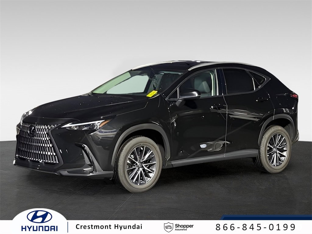 2023 Lexus NX 350's photo