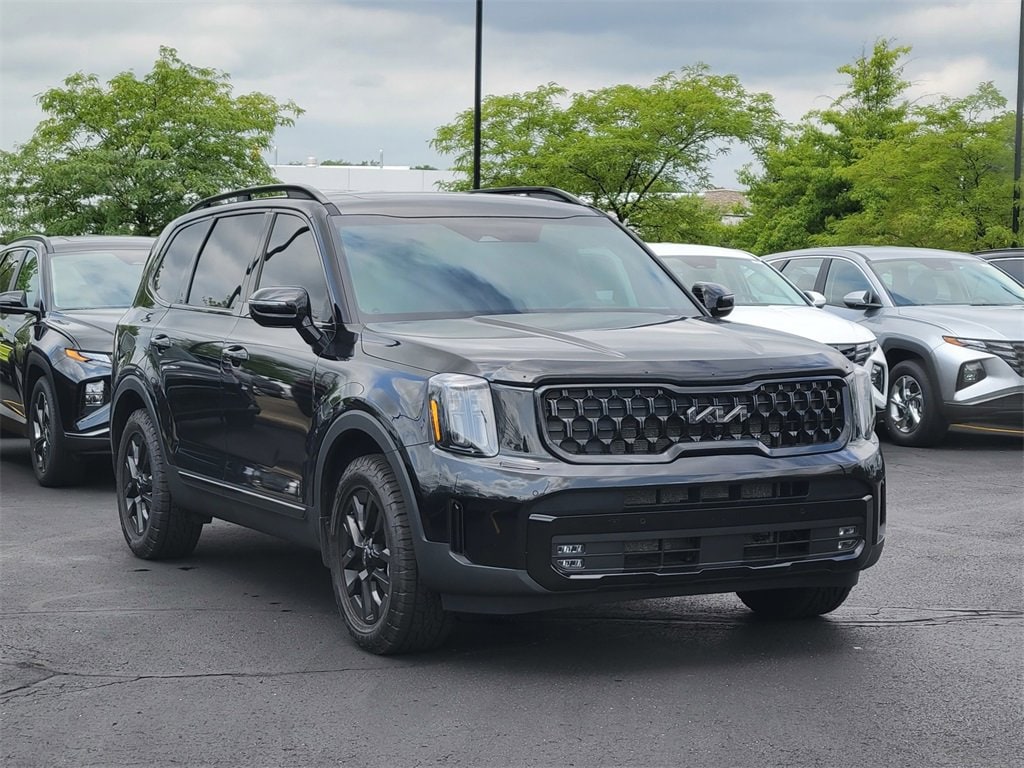 Used 2024 Kia Telluride SX Prestige X-Pro with VIN 5XYP5DGC3RG482588 for sale in Brunswick, OH