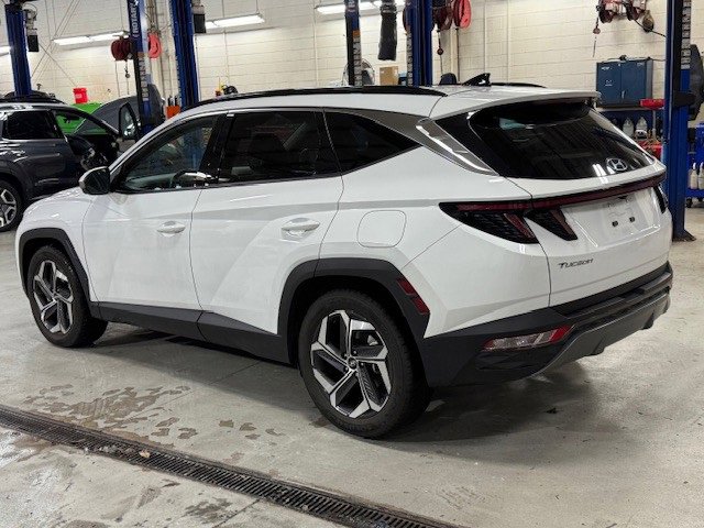 2024 Hyundai Tucson Limited photo 4