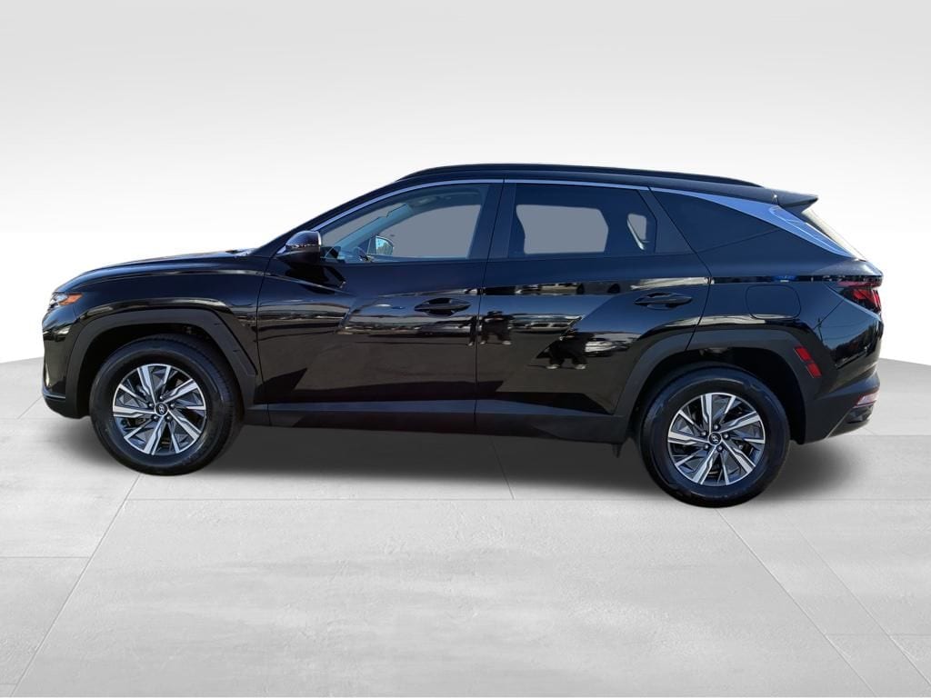 Used 2024 Hyundai Tucson Hybrid Blue SUV