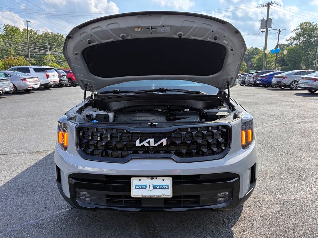 2024 Kia Telluride SX X-Line - Photo 10
