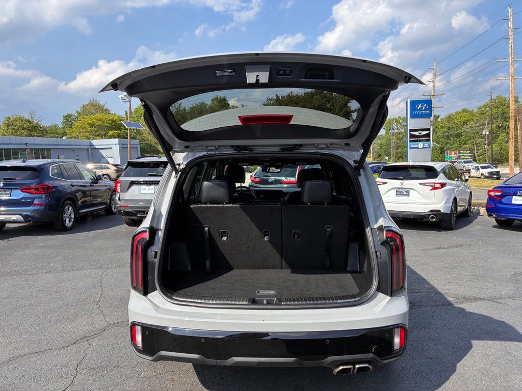 2024 Kia Telluride SX X-Line - Photo 11