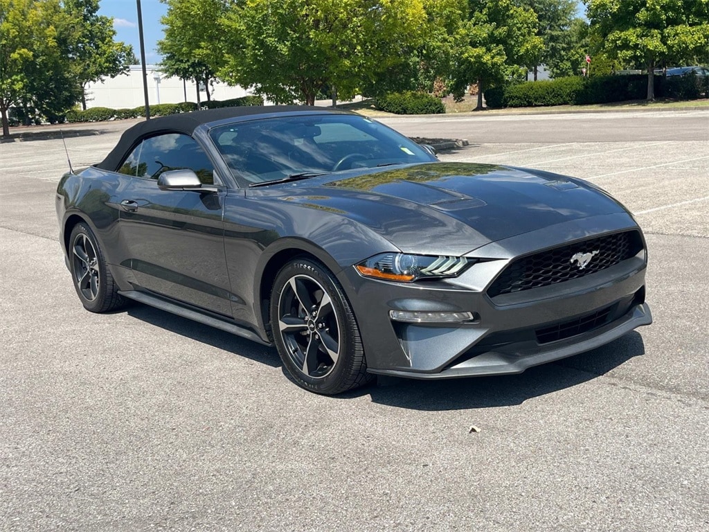 Used 2019 Ford Mustang EcoBoost with VIN 1FATP8UHXK5111710 for sale in Franklin, TN