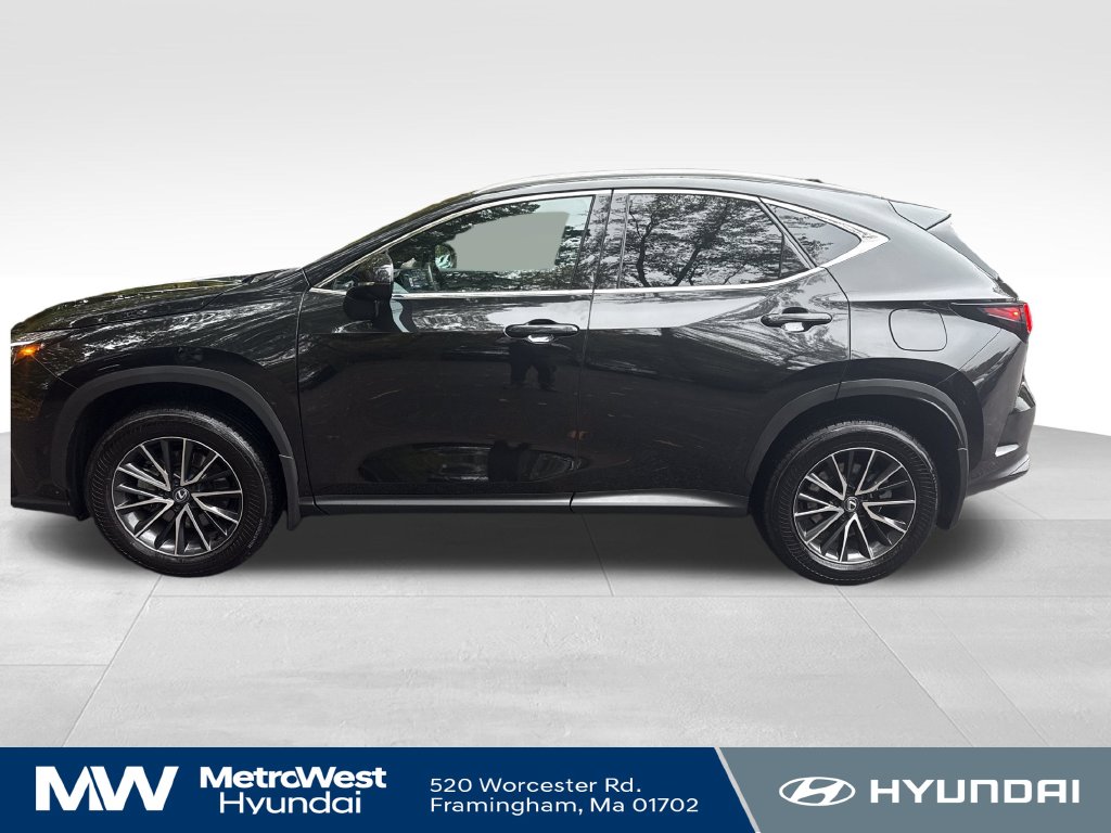 Used 2024 Lexus NX 350 Premium SUV