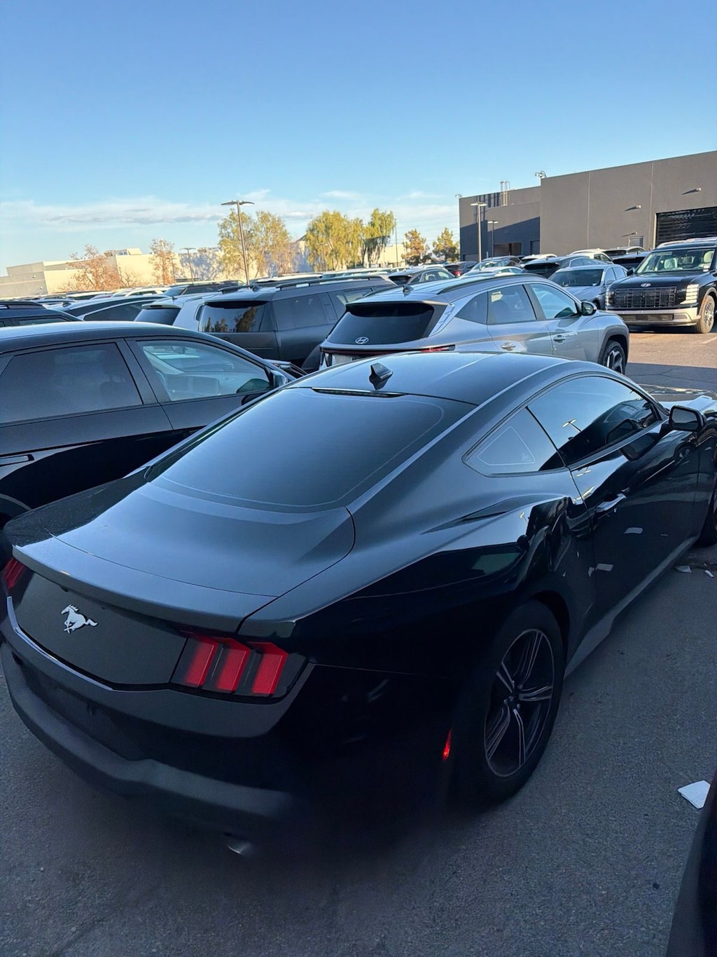Used 2024 Ford Mustang Coupe