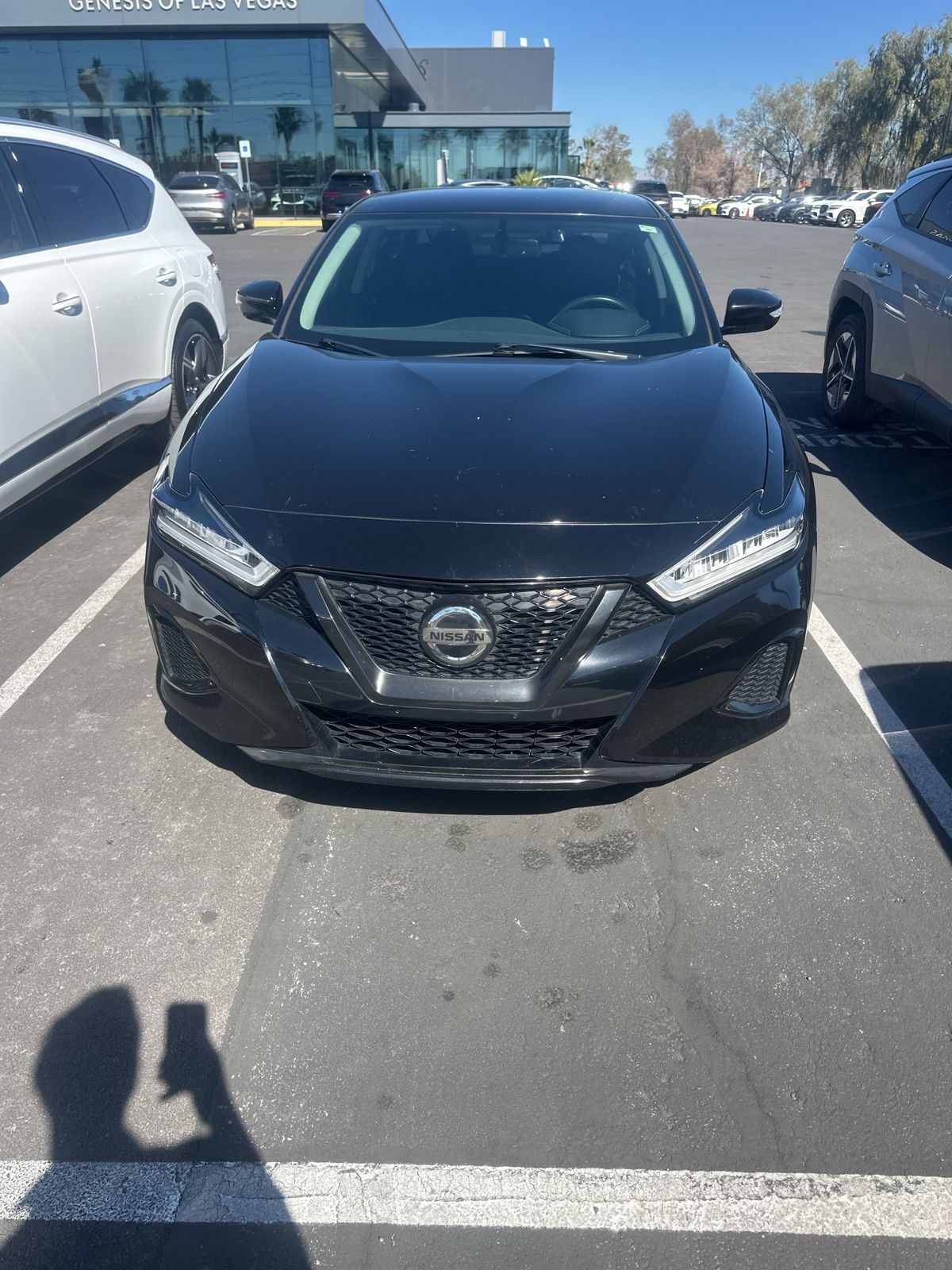 2019 Nissan Maxima 3.5 SV -
                  Las Vegas, NV