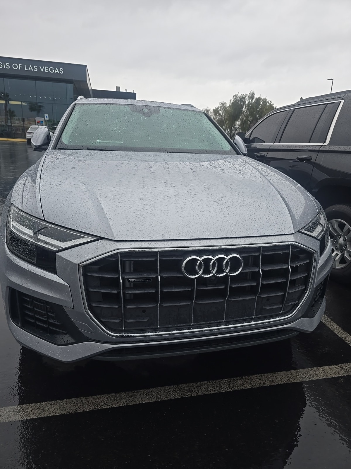 2022 Audi Q8 Premium -
                  Las Vegas, NV