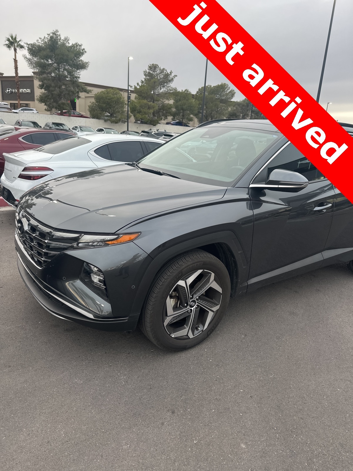 2023 Hyundai Tucson Limited's photo