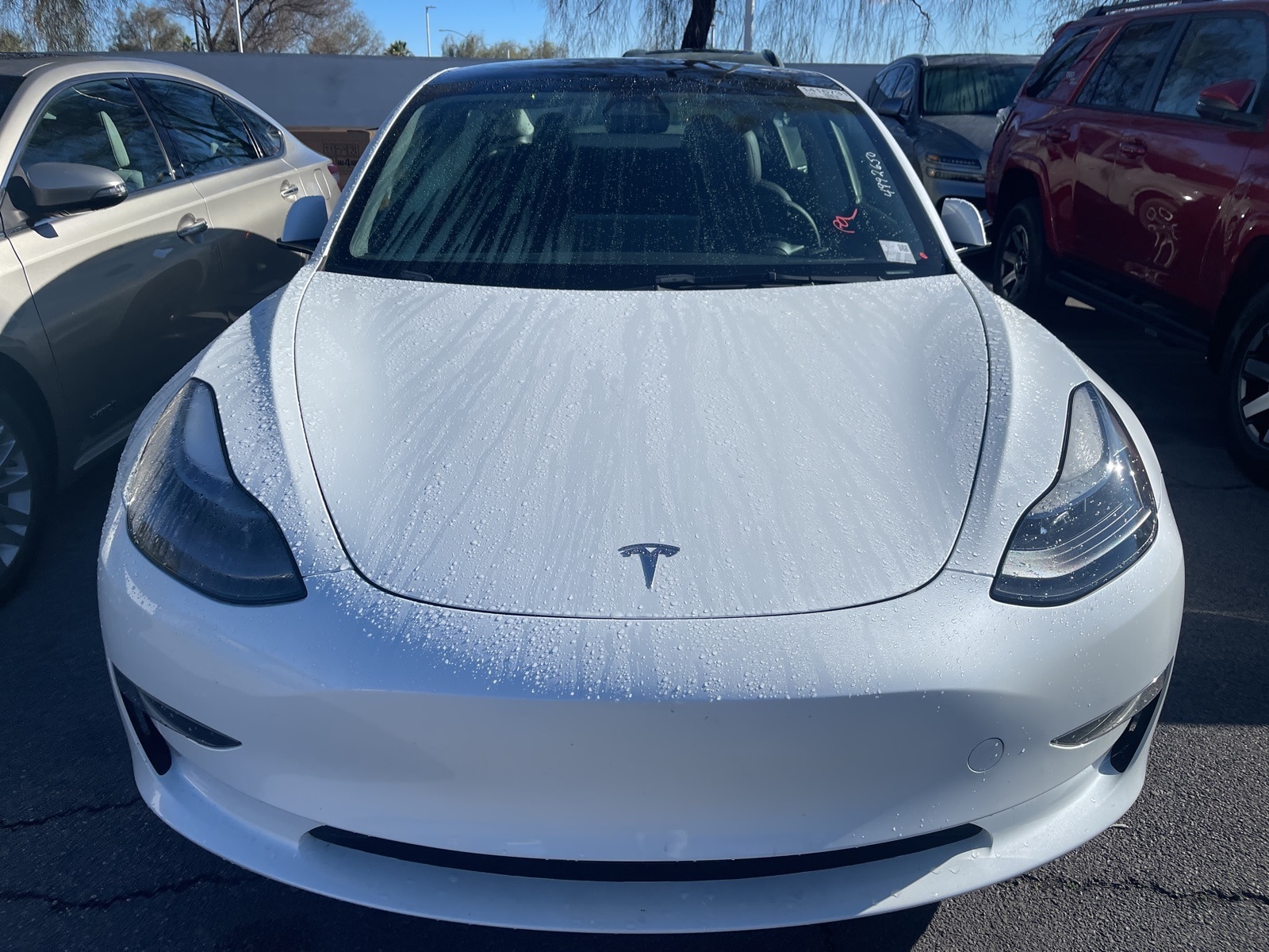2023 Tesla Model 3 Base's photo