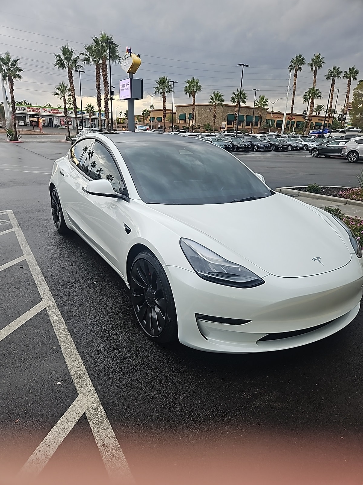 2023 Tesla Model 3 Performance's photo