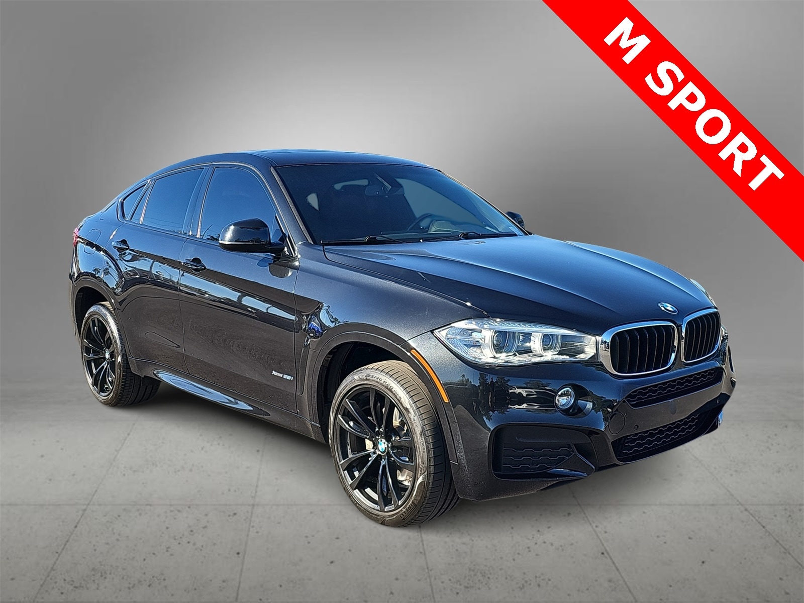 Thumbnail: 2018 BMW X6 - 2