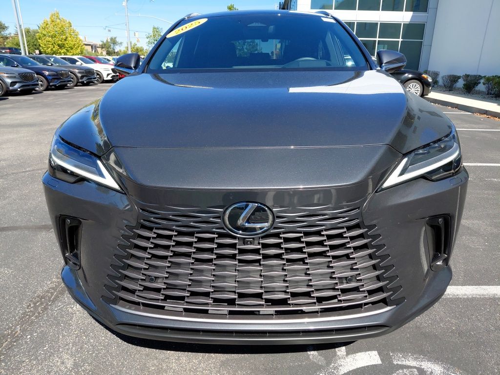2025 Lexus RX 350 Luxury photo 3