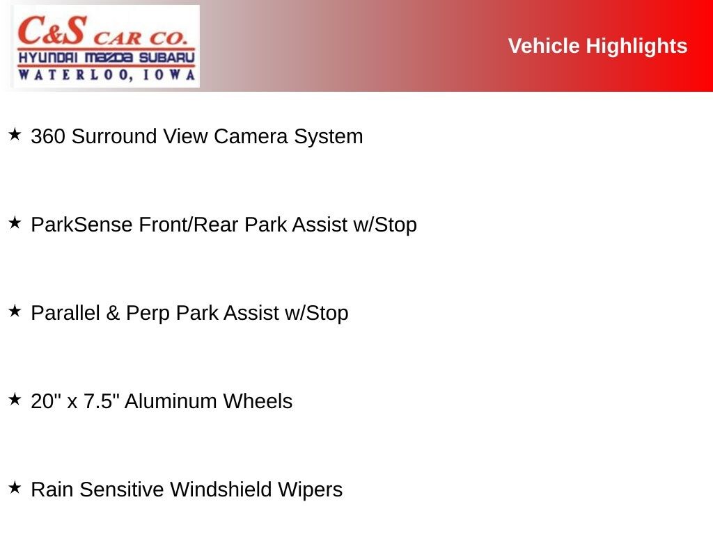 Used 2019 Chrysler Pacifica Limited Van Passenger Van
