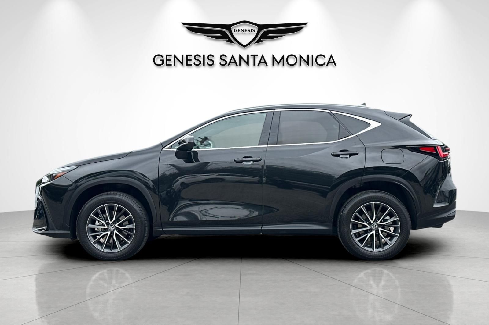 2024 Lexus NX 250 - Photo 8