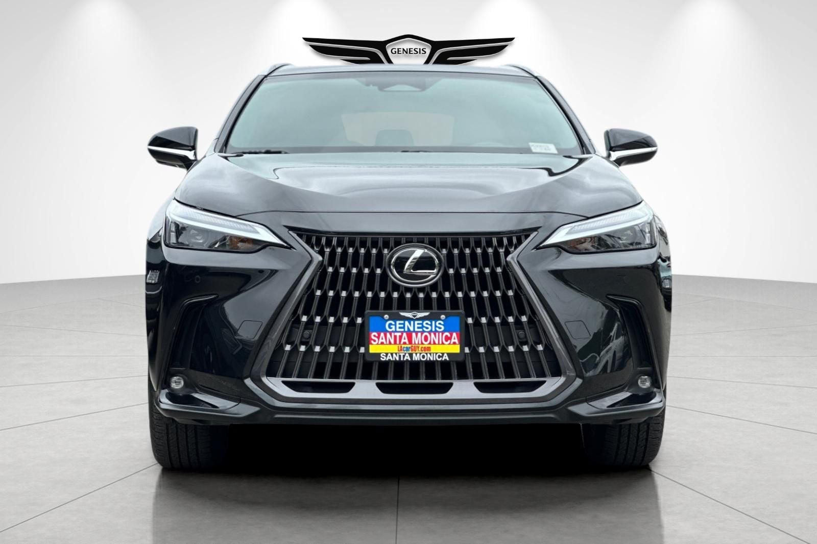 2024 Lexus NX 250 - Photo 10