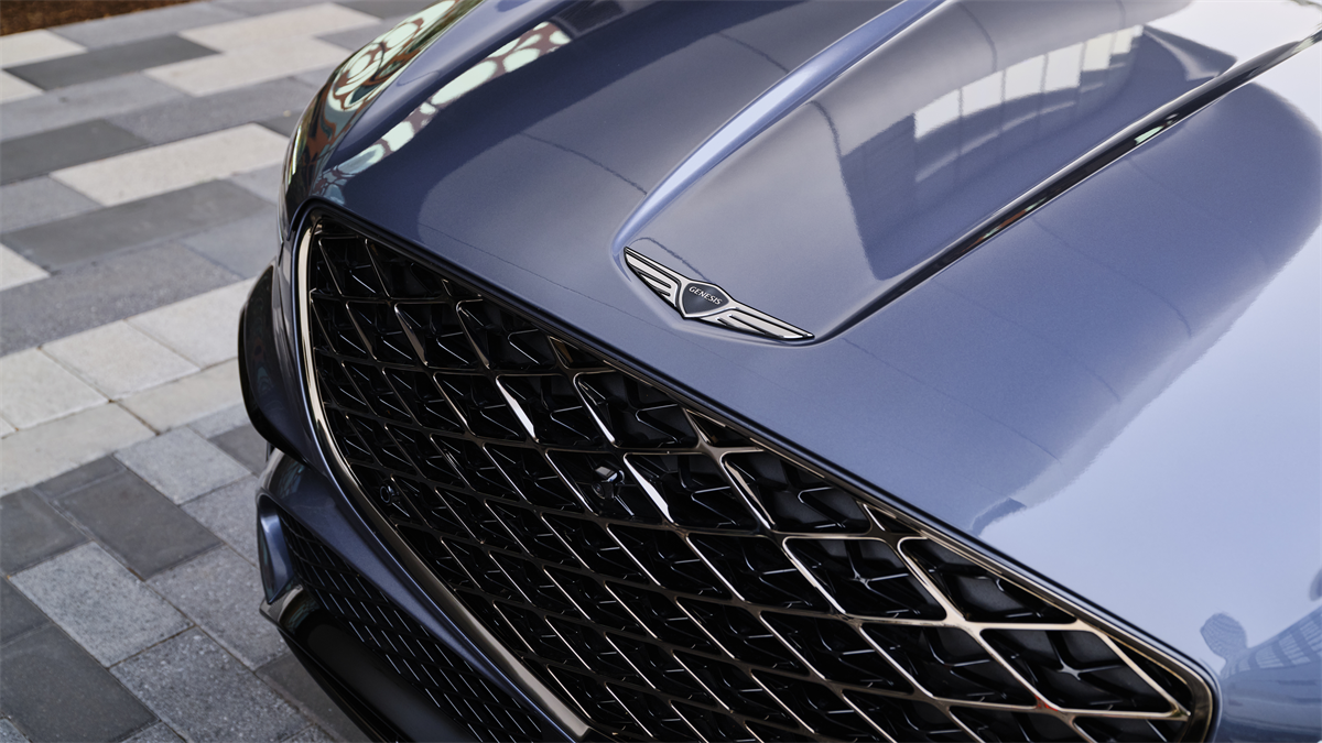 Grille of a model equipped with Genesis accessories