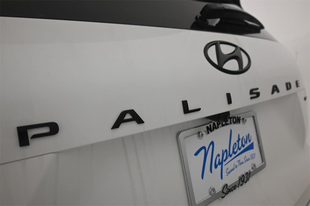 Thumbnail: 2025 Hyundai Palisade - 8