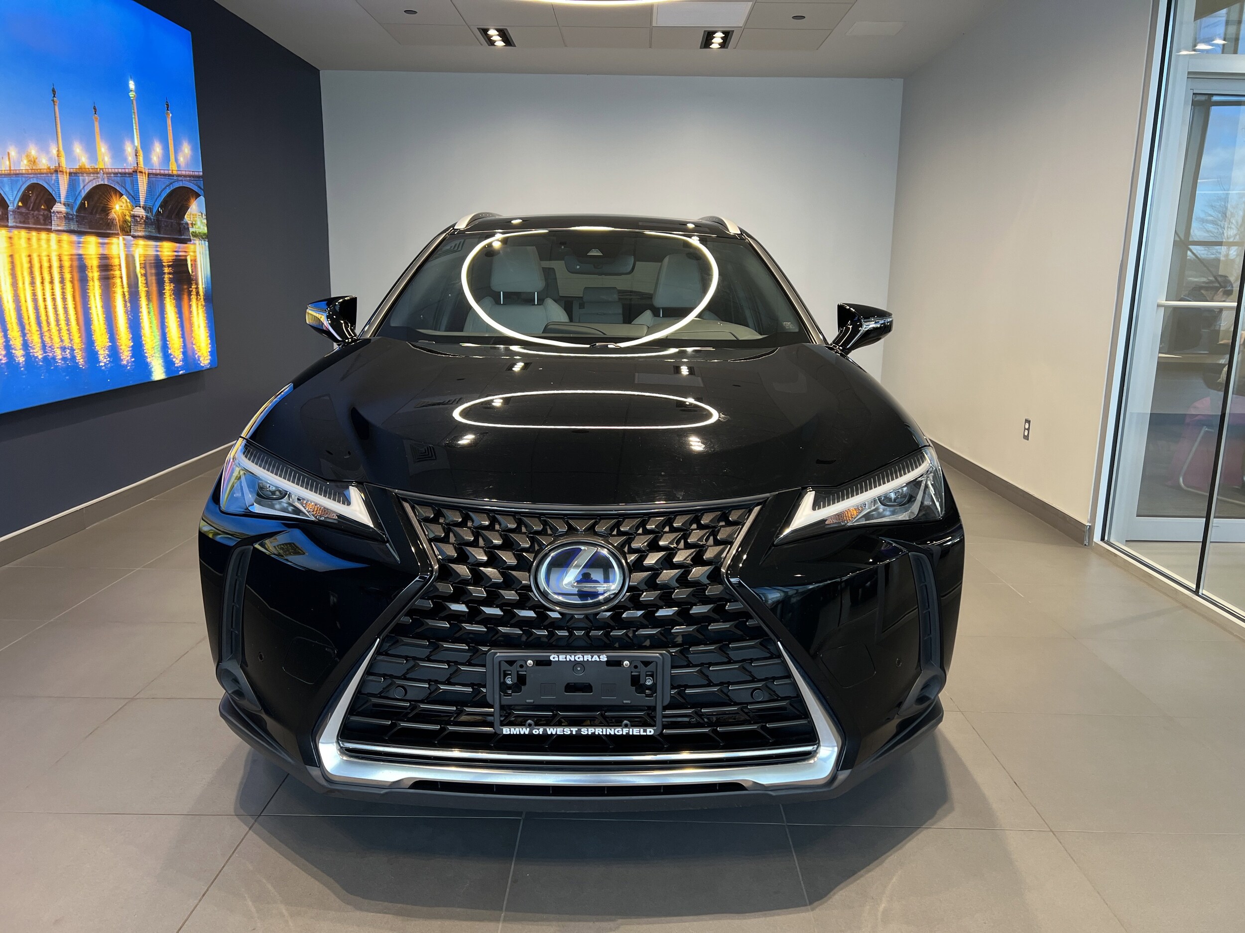 2020 Lexus UX 250h Premium photo 2