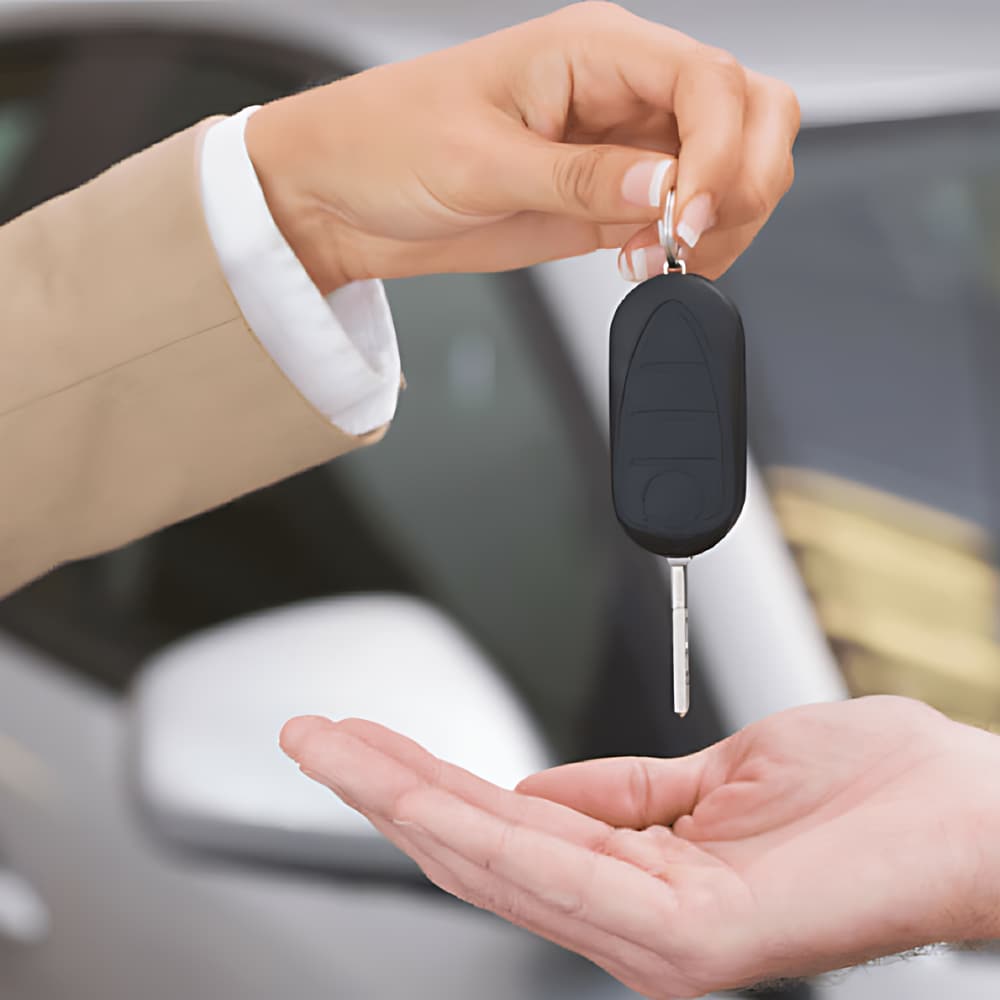 Sealing%20the%20Deal%20on%20Your%20BMW.png