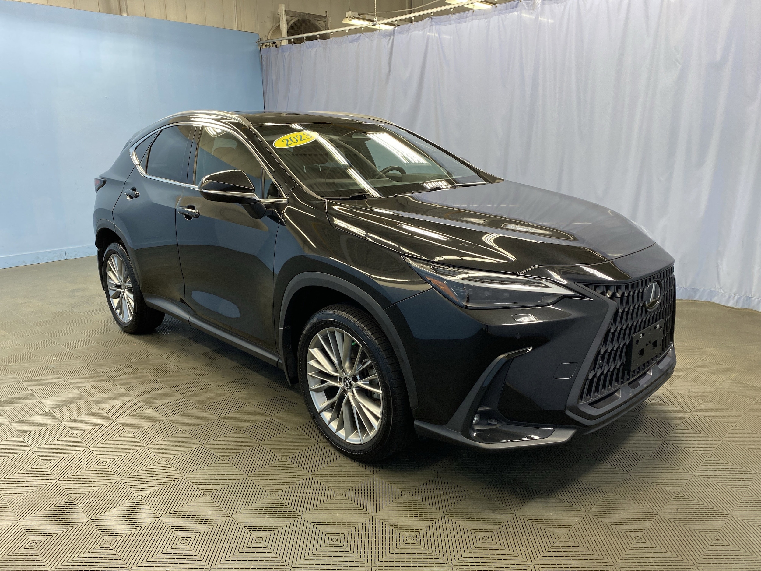 2023 Lexus NX 350's photo
