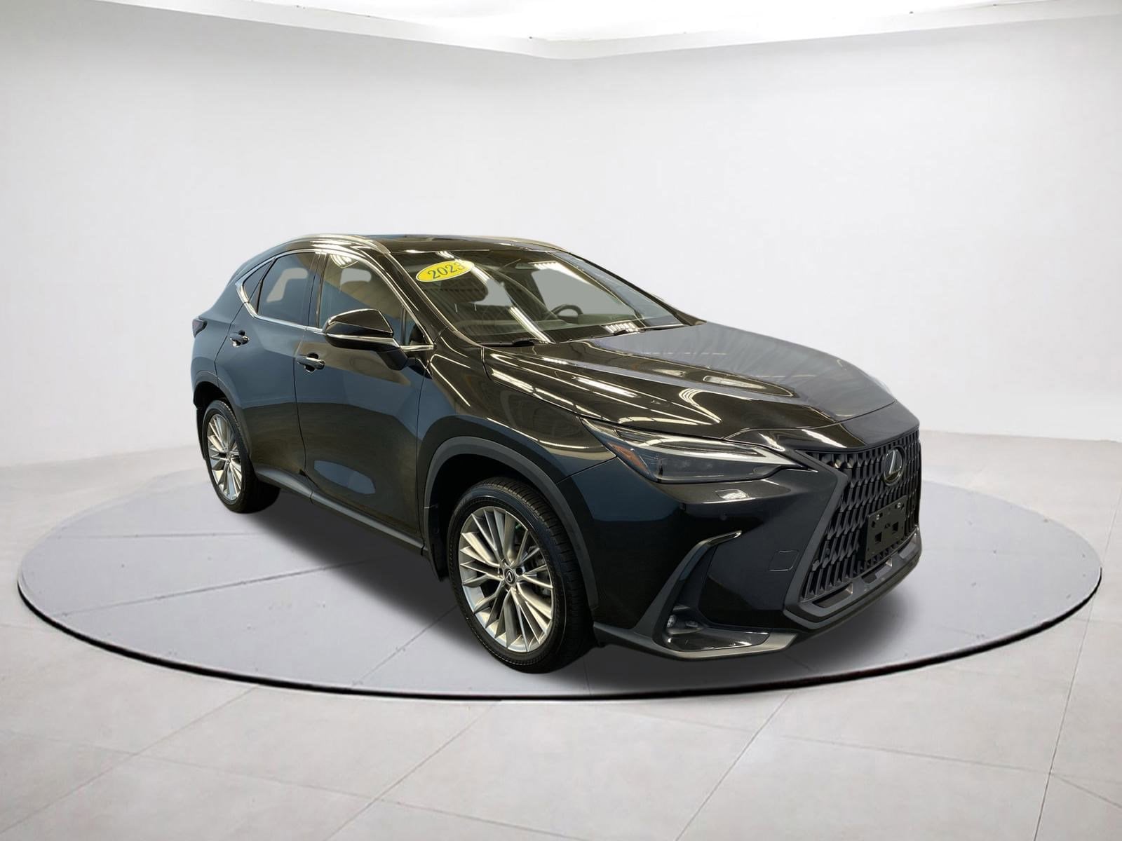 2023 Lexus NX 350's photo